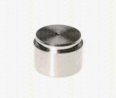 TRISCAN 8170234420 -  Поршень, корпус скобы тормоза