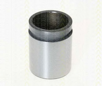 TRISCAN 8170234425 -  