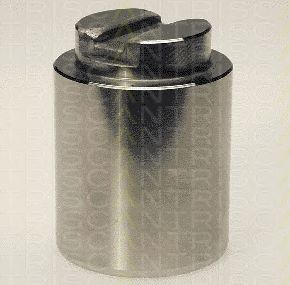 TRISCAN 8170234835 -