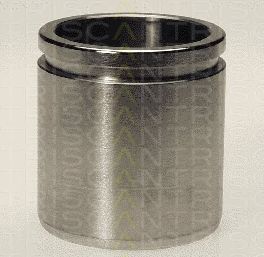 TRISCAN 8170234841 -  Поршень, корпус скобы тормоза