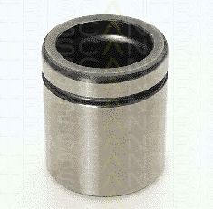 TRISCAN 8170234854 -  Поршень, корпус скобы тормоза