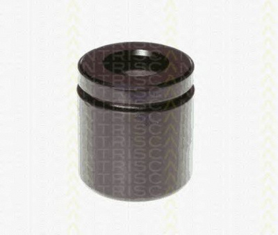 TRISCAN 8170234863 -