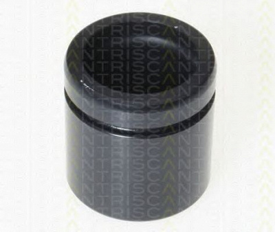 TRISCAN 8170234873 -