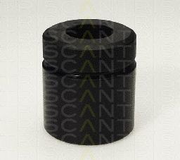 TRISCAN 8170235206 -  Поршень, корпус скобы тормоза