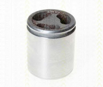 TRISCAN 8170235210 -  Поршень, корпус скобы тормоза