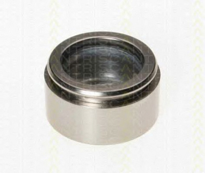 TRISCAN 8170235745 -