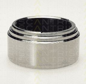 TRISCAN 8170236001 -