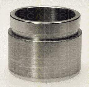 TRISCAN 8170236010 -  Поршень, корпус скобы тормоза