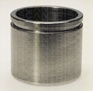 TRISCAN 8170236011 -  Поршень, корпус скобы тормоза
