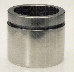 TRISCAN 8170236019 -  Поршень, корпус скобы тормоза