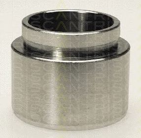 TRISCAN 8170236025 -  Поршень, корпус скобы тормоза