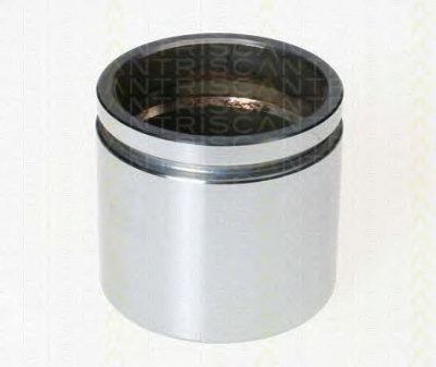 TRISCAN 8170236042 -