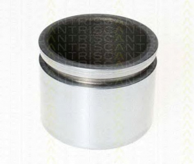 TRISCAN 8170236043 -