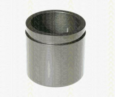 TRISCAN 8170236044 -  Поршень, корпус скобы тормоза