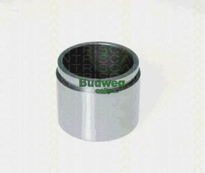 TRISCAN 8170236048 -  