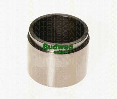 TRISCAN 8170236051 -  