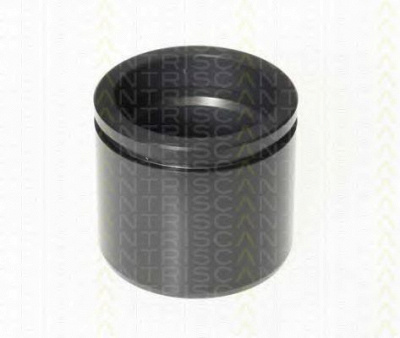 TRISCAN 8170236052 -  