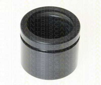 TRISCAN 8170236056 -