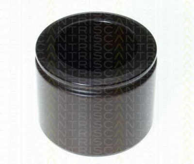 TRISCAN 8170236604 -  