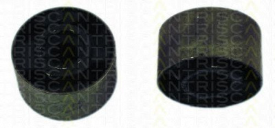 TRISCAN 850011804 -  Подвеска, рычаг независимой подвески колеса