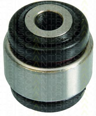 TRISCAN 850011849 -  Несущий / направляющий шарнир