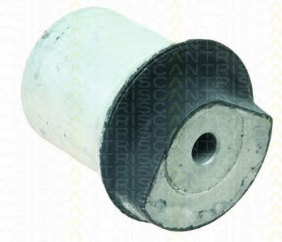 TRISCAN 850024843 -  Втулка, балка моста