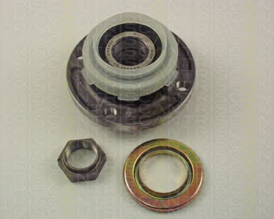 TRISCAN 853010222 -  Комплект подшипника ступицы колеса