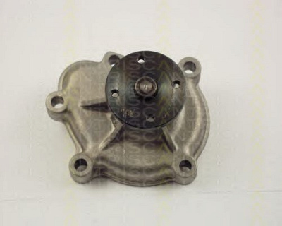 TRISCAN 860024008 - Водяной насос