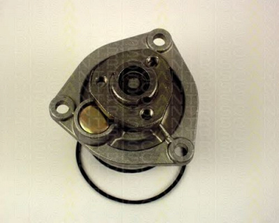 TRISCAN 860024009 -  Водяной насос