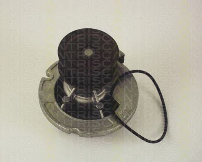 TRISCAN 860024010 -  Водяной насос