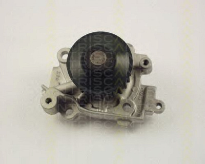 TRISCAN 860042010 -  Водяной насос