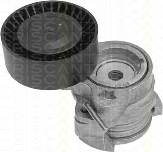 TRISCAN 8641113014 -  Натяжная планка, поликлиновой ремень