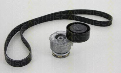 TRISCAN 864225001 -  Поликлиновой ременный комплект