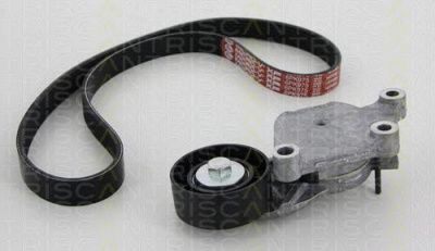 TRISCAN 864228012 -  Поликлиновой ременный комплект