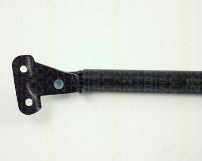 TRISCAN 871010202 -  Газовая пружина, крышка багажник
