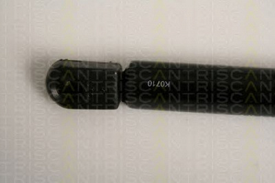 TRISCAN 871016254 -  Газовая пружина, крышка багажник