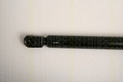 TRISCAN 871017211 -  Газовая пружина, крышка багажник