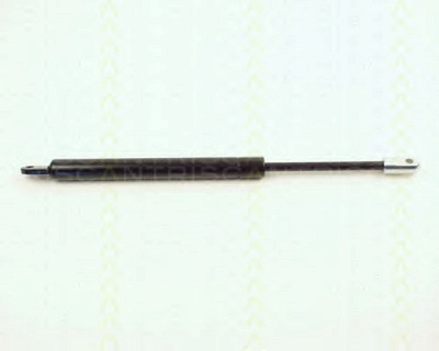 TRISCAN 87102001 -  Газовая пружина, капот