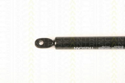 TRISCAN 871020202 -  Газовая пружина, крышка багажник
