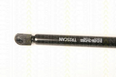 TRISCAN 871023112 -  Газовая пружина, капот