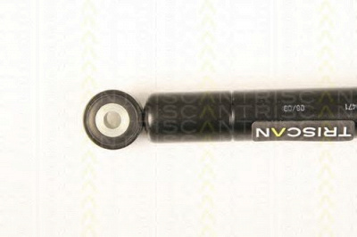 TRISCAN 87102317 -  Амортизатор, поликлиновой ремень