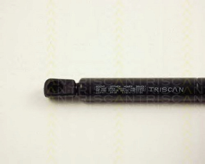TRISCAN 871024102 -  Газовая пружина, капот