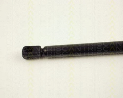 TRISCAN 871024205 -  Газовая пружина, крышка багажник