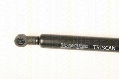 TRISCAN 871028241 -  Газовая пружина, крышка багажник