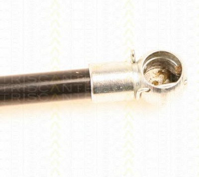 TRISCAN 871029250 -  Газовая пружина, крышка багажник