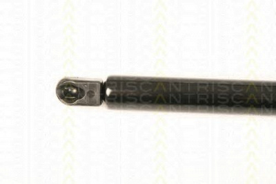 TRISCAN 871029289 -  Газовая пружина, крышка багажник