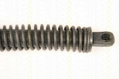 TRISCAN 871038228 -  Газовая пружина, крышка багажник