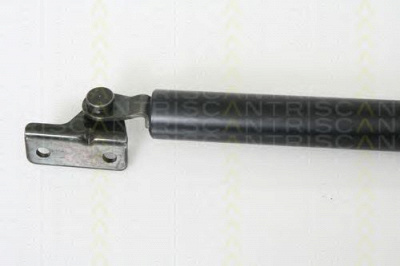TRISCAN 871043214 -  Газовая пружина, крышка багажник
