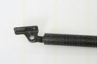 TRISCAN 871043219 -  Газовая пружина, крышка багажник