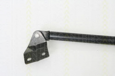 TRISCAN 871069213 -  Газовая пружина, крышка багажник